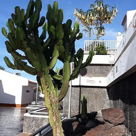 I Tenerife! I Island Village!